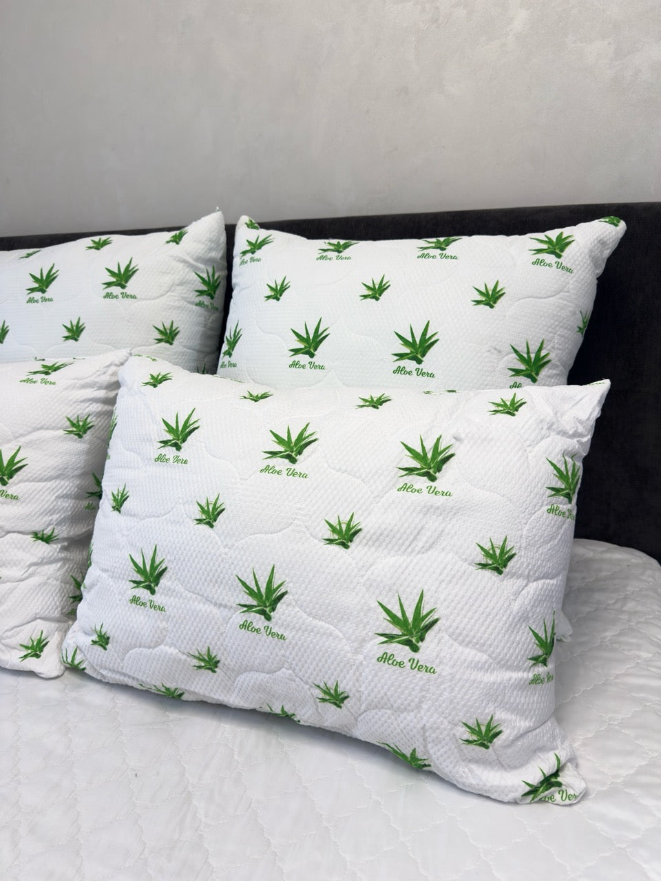 Підушка Алое Вера